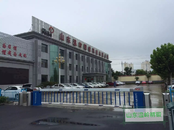 溫嶺精鍛道閘門(mén)案例